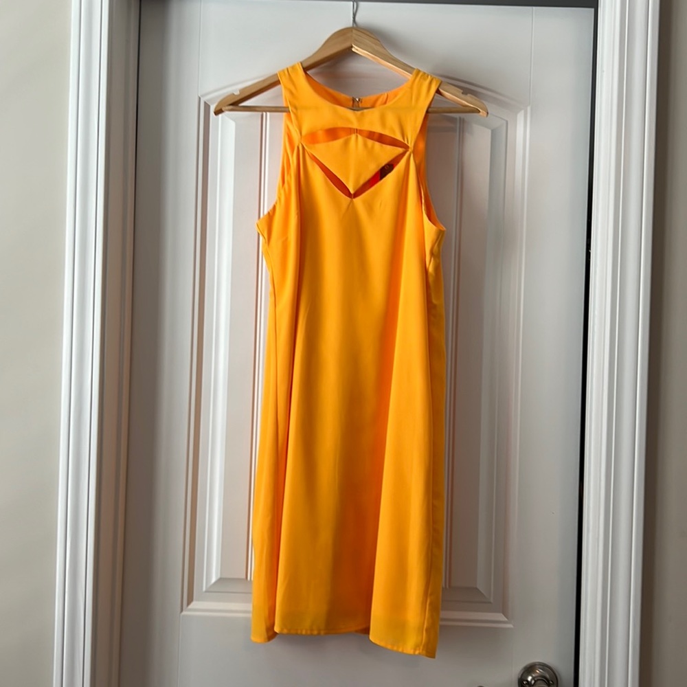 Gianni Bini brand new dress